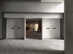 Precise Doors
