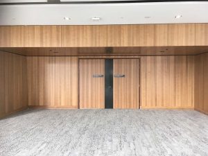 Precise Doors